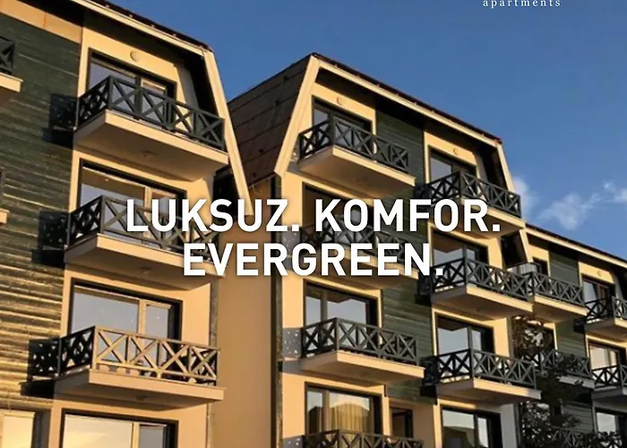 Promo Evergreen * 科帕奥尼克