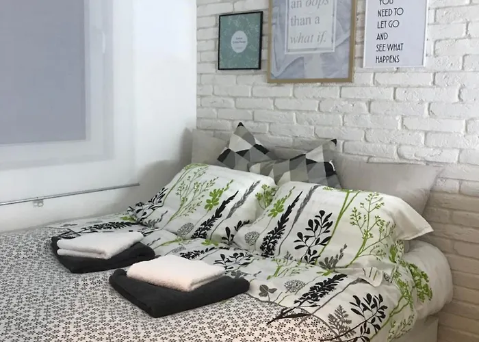 Promo Evergreen 科帕奥尼克