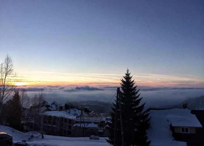 Promo Evergreen 科帕奥尼克